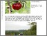 [thumbnail of 22102.pdf]