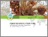 [thumbnail of Sector Study 2012]
