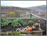 [thumbnail of ImageC10.3.Paull.Todmorden.JPG]