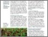 [thumbnail of Gronle-Böhm_2017_Bioland_Erbsen-flach-wenden.pdf]