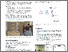 [thumbnail of Poster]